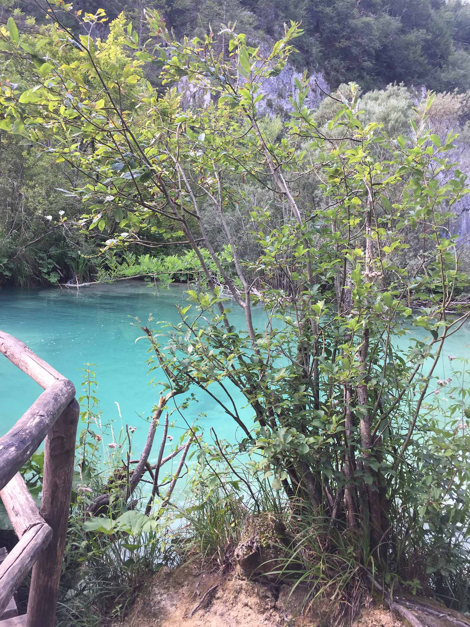 Hiking in Plitvice Lake 🇭🇷