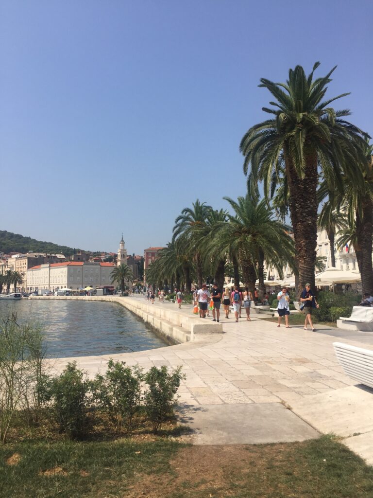 Split visit in summer , Apricanomad